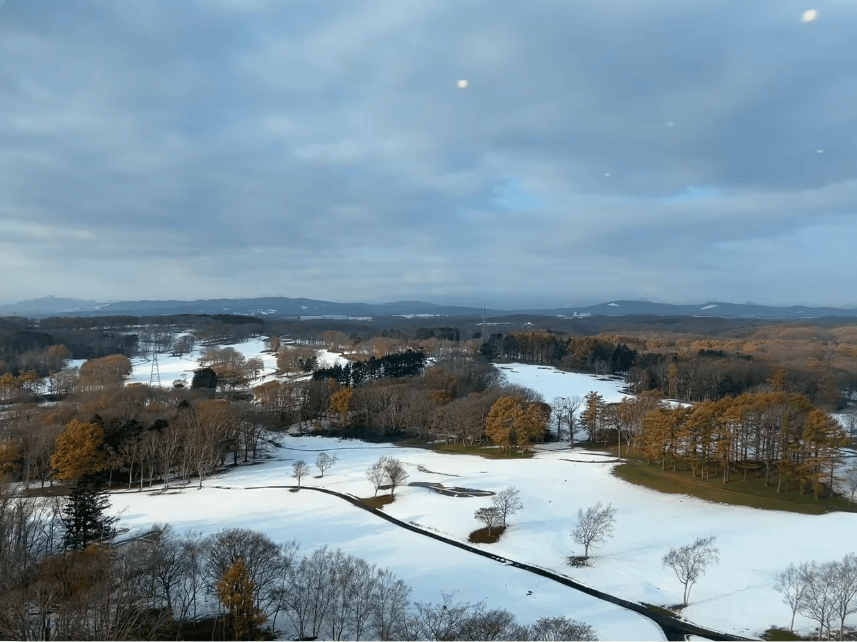 202511061027-2313124203.png image.png