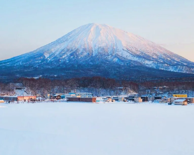 202511061042-8663349401.png image.png