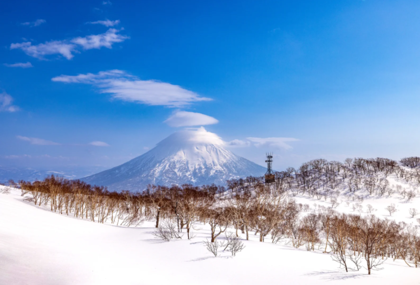 202511061043-8546660062.png image.png