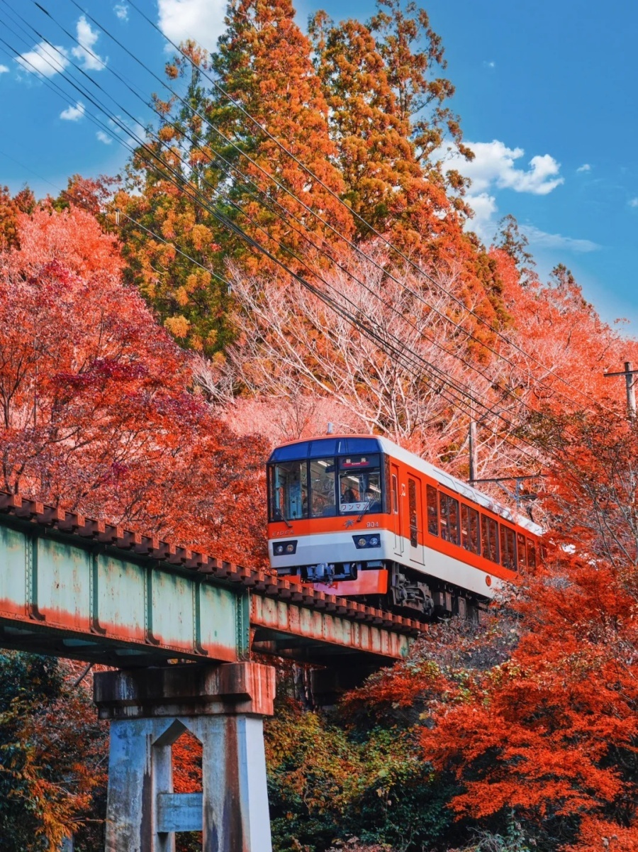 202511061354-9239467797.jpg 以为岚山红叶小火车很美了,直到我去了……_1_展辰Shayne_来自小红书网页版.jpg