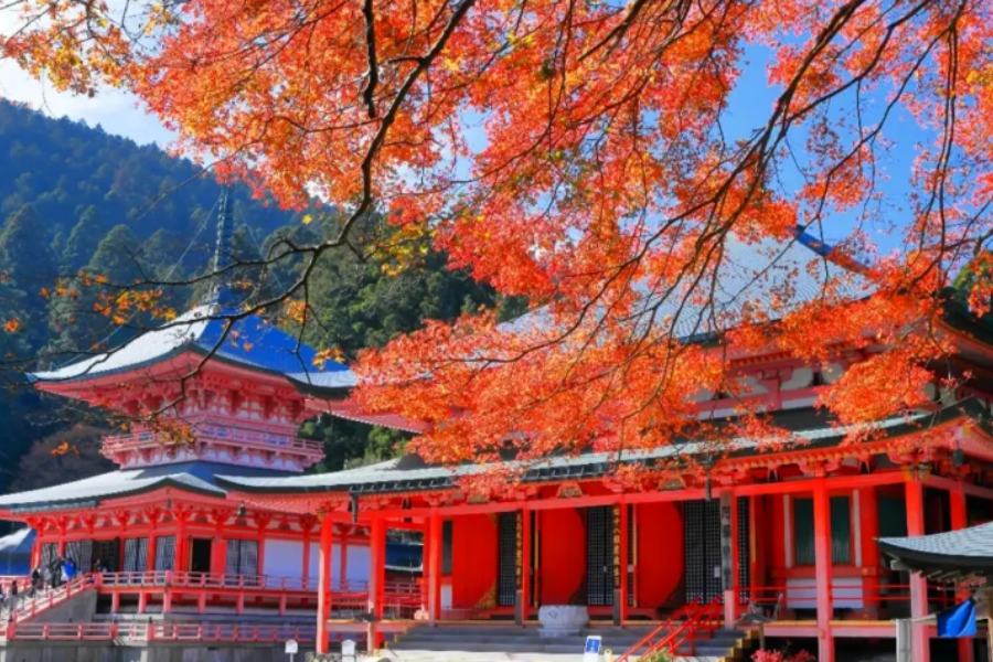 202511061412-2616201705.png 屏幕截图 2025-09-17 101107.png