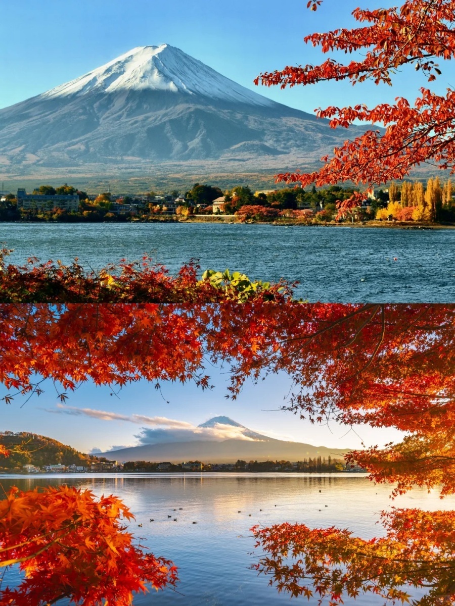 202511061416-4942408330.jpg 日本本州赏枫天花板!9大绝美景点打卡攻略_2_海客旅行精选_来自小红书网页版.jpg