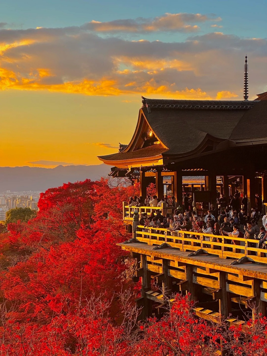 202511061417-9785062686.jpg 🍁关西枫叶季旅程总结篇(6天5晚附攻略)_1_卡比suki_来自小红书网页版.jpg