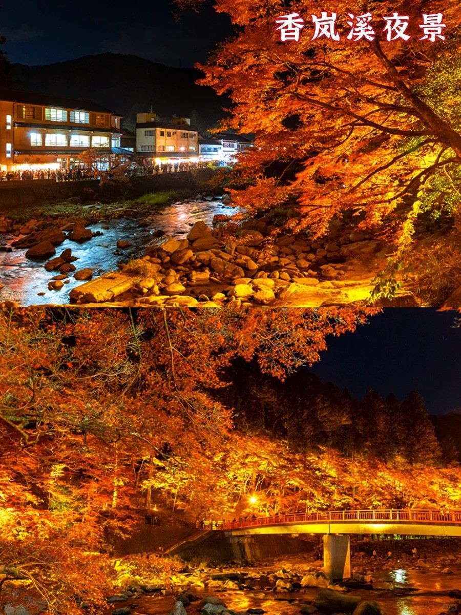 202511061453-6667236259.jpg 爱知枫叶节|红得刚刚好的一场秋日浪漫_4_名古屋中部国际机场_来自小红书网页版.jpg