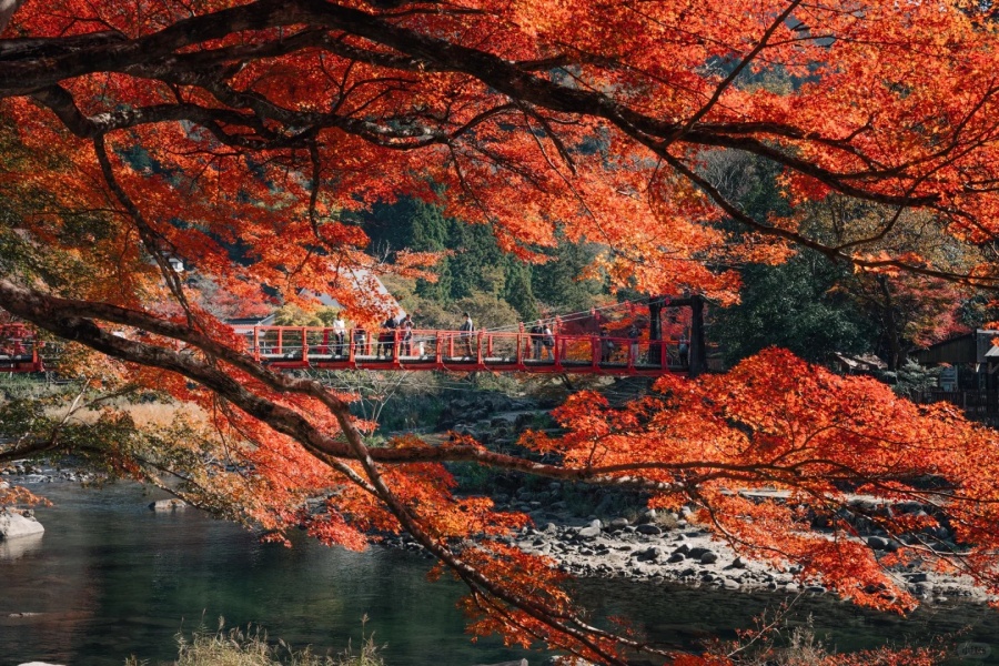 202511061453-7511814464.jpg 香 (11).jpg