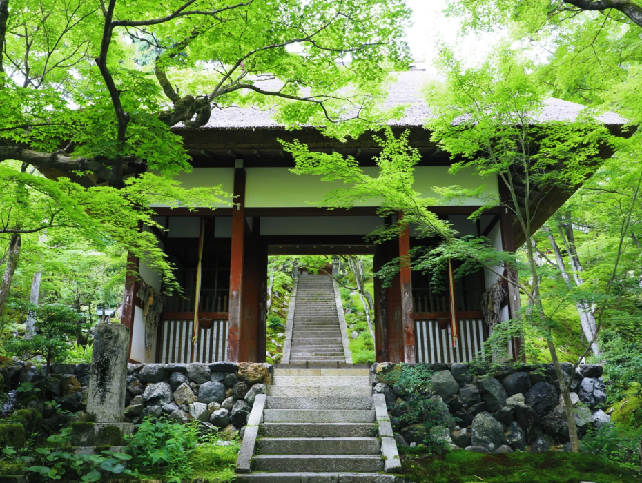 202511061501-8114407758.png 常寂光寺.png