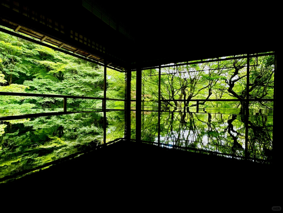 202511061514-1124197680.png 琉璃光院.png