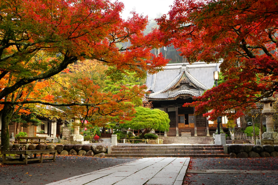 202511061525-9260027756.png 屏幕截图 2025-10-23 114107.png