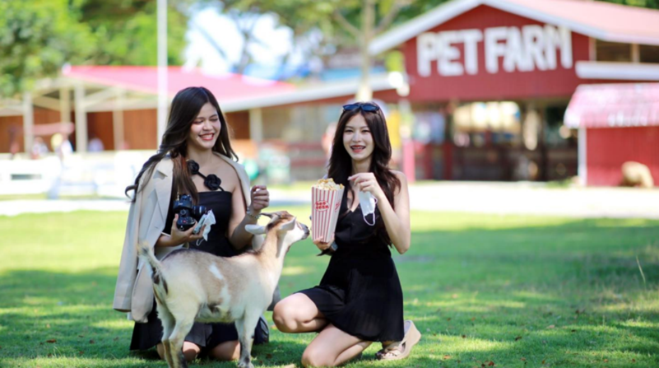 202511061529-3063388505.png 930-4.png