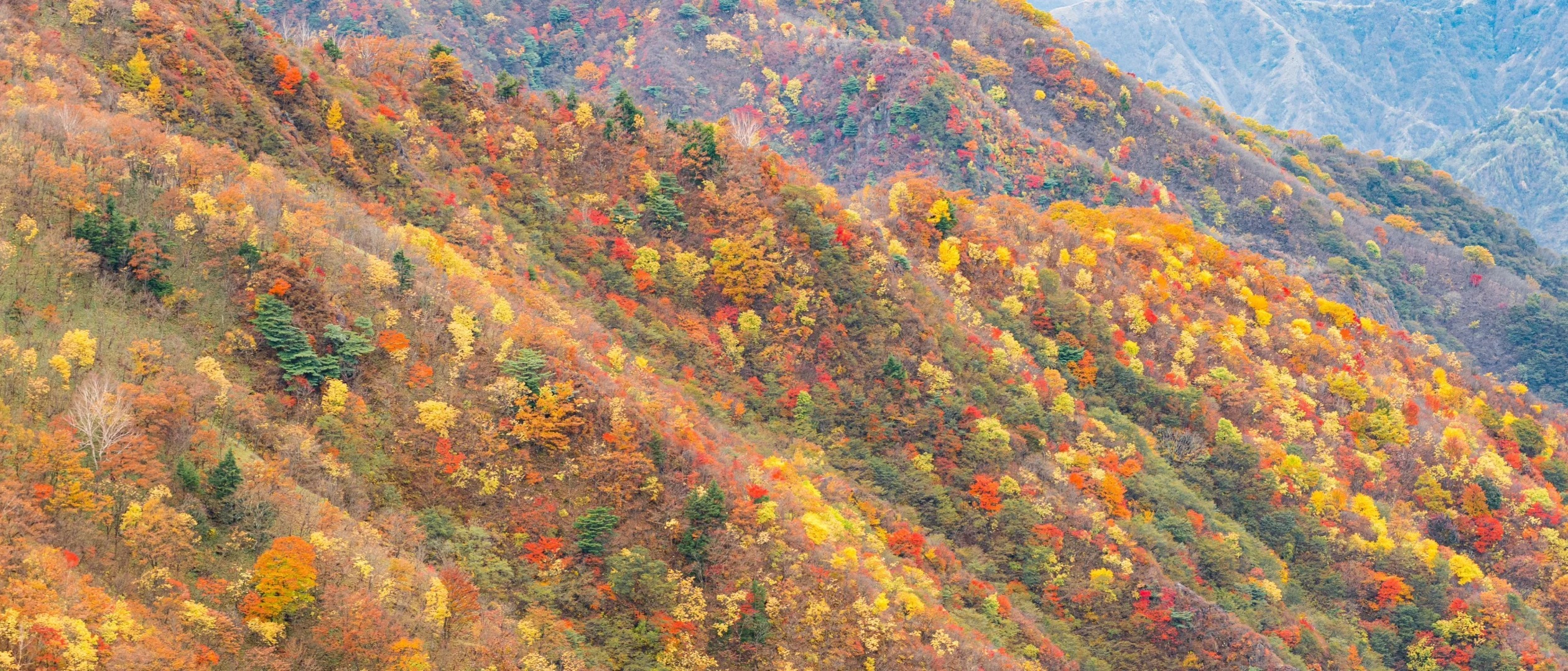 202511061552-3660750891.jpg 1 (11).jpg