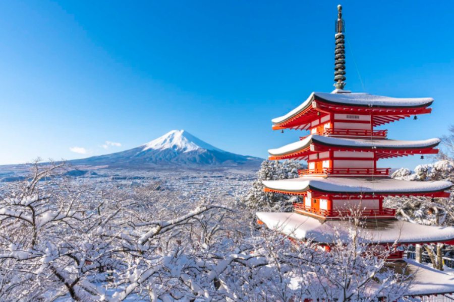 202511061602-5830594961.png 新.png