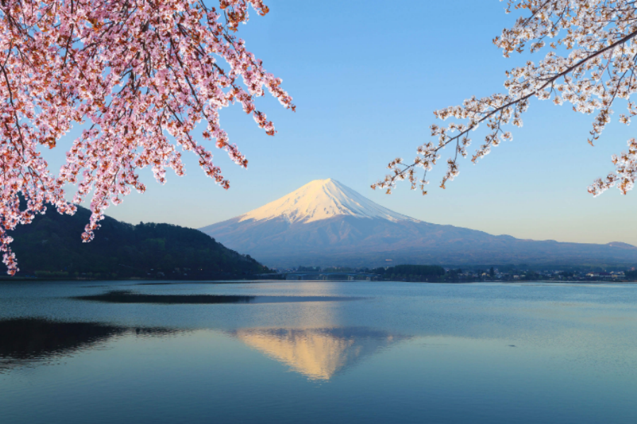 202511061607-4637464768.png 屏幕截图 2025-08-27 135910.png