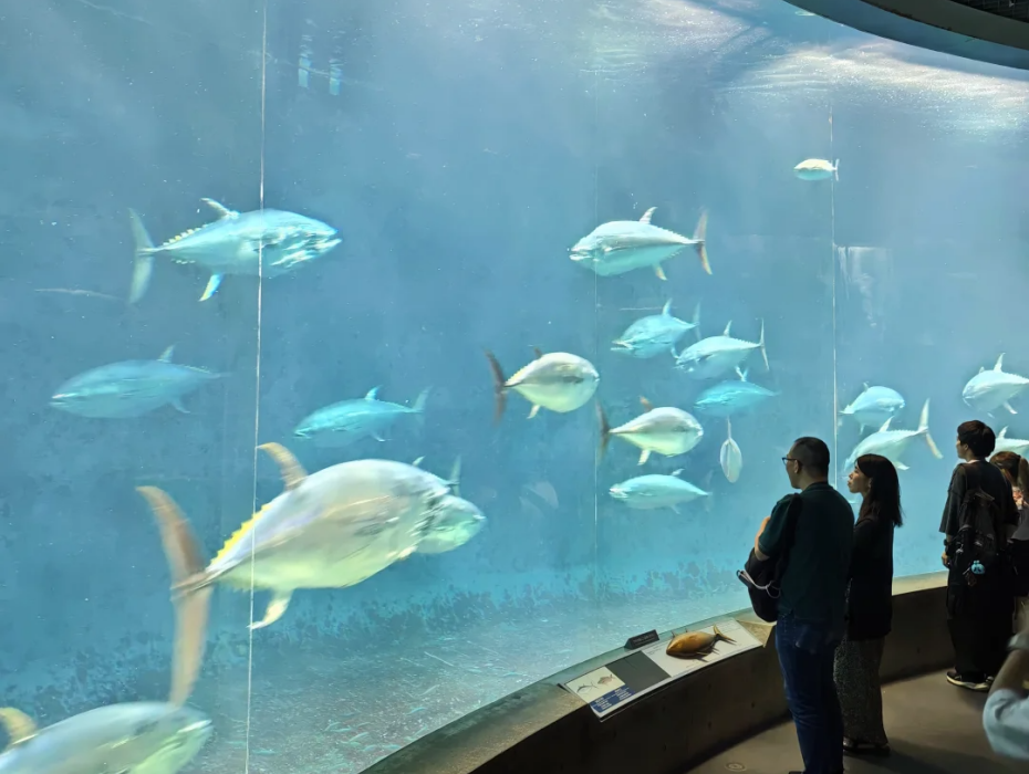 202511061719-6987576993.png 葛西臨海水族園.png