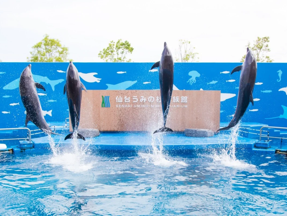 202511061719-7481541136.png 仙台うみの杜水族館.png