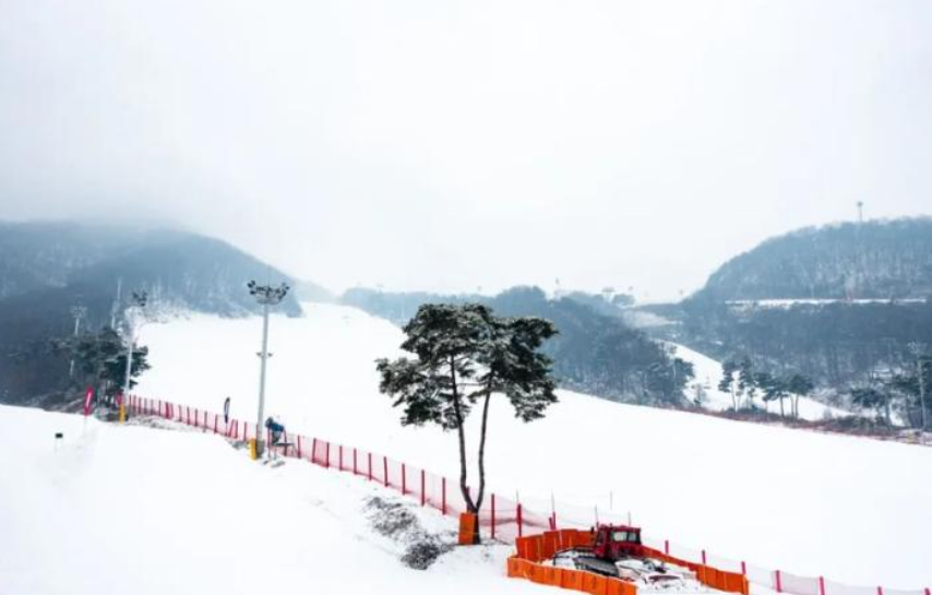 202511070921-7957817820.png image.png