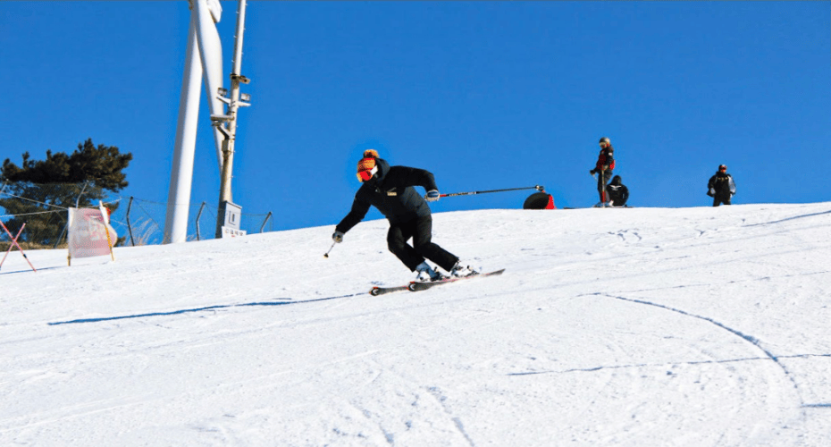 202511071106-2791371112.png 伊甸6.png