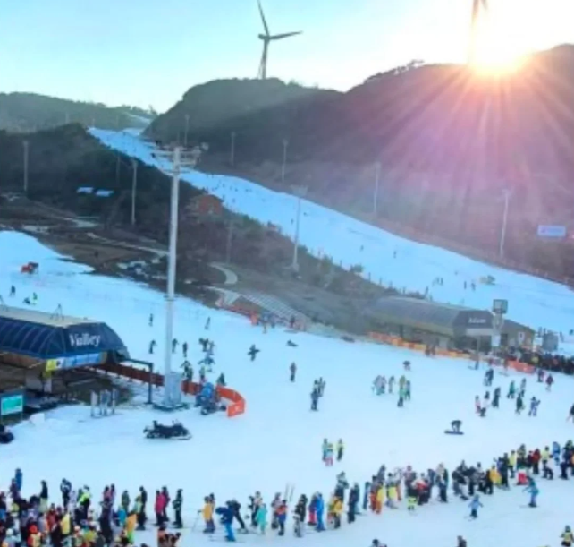 202511071127-6670153090.png image.png