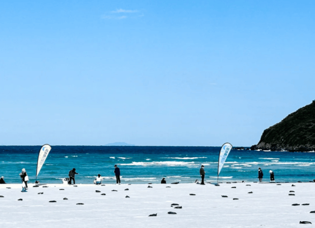 202511071134-4833025723.png image.png