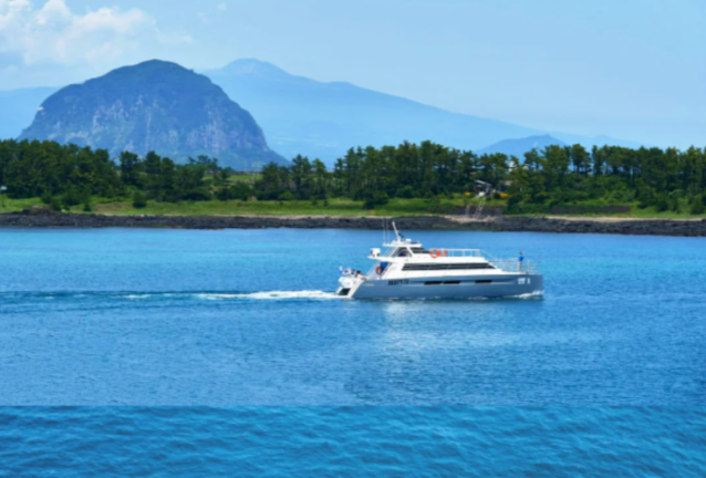 202511071135-2172473858.png image.png