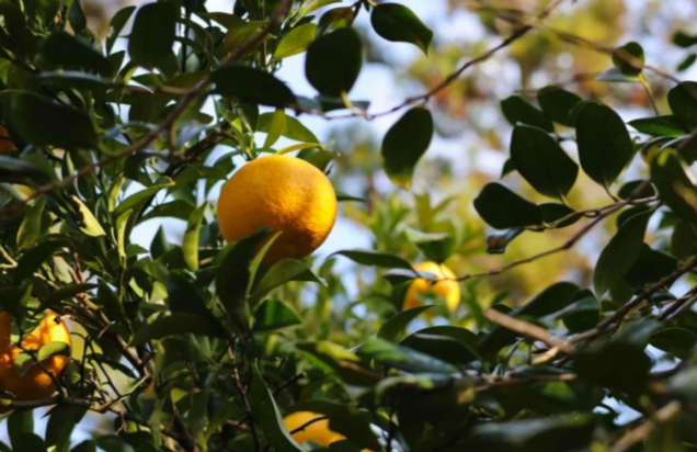 202511071135-2702686962.png image.png