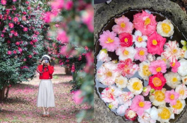 202511071135-9021404569.png image.png