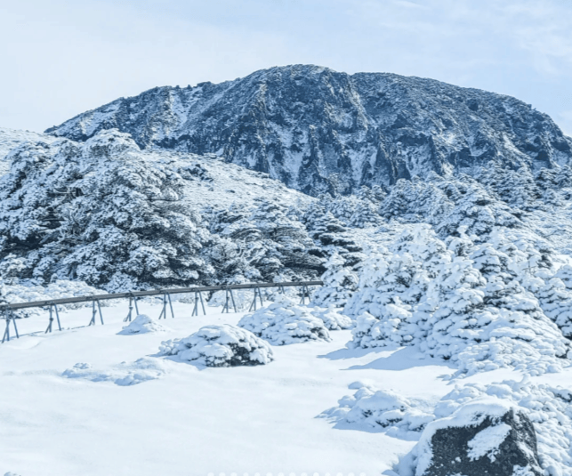 202511071136-3064717721.png image.png