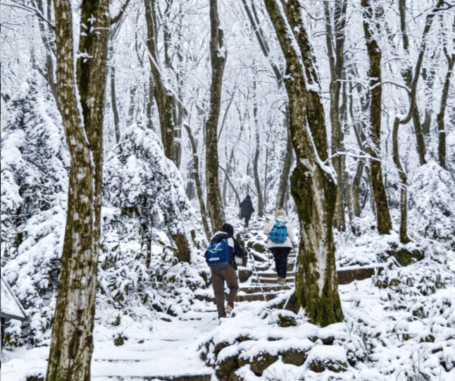 202511071136-9115779016.png image.png