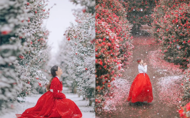 202511071146-4767119061.png image.png