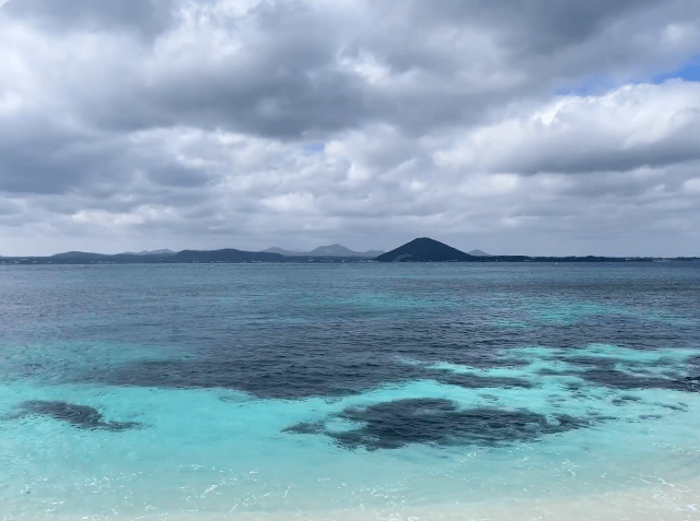 202511071146-8211135386.png image.png