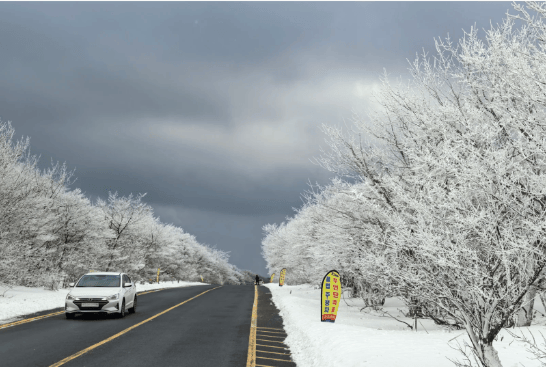 202511071147-3038920330.png image.png