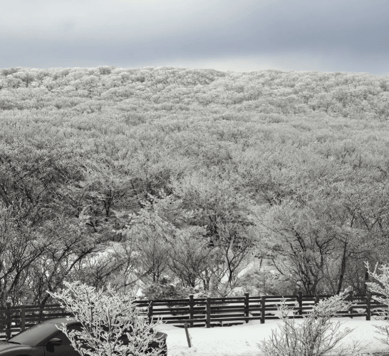 202511071147-5747443878.png image.png