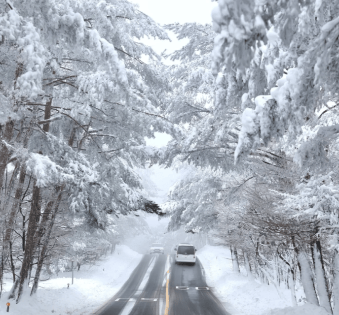 202511071148-1372463269.png image.png