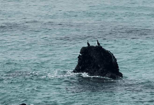 202511071333-7640417956.png image.png