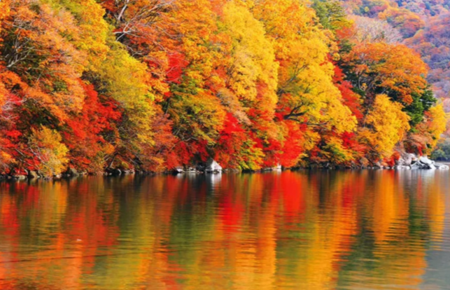 202511071343-4010072480.png image.png