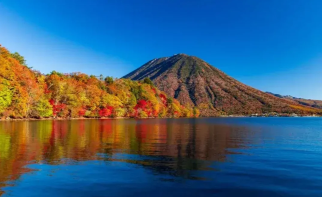 202511071343-5894105288.png image.png