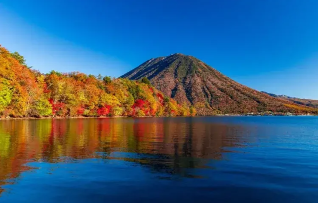 202511071344-1506424396.png image.png