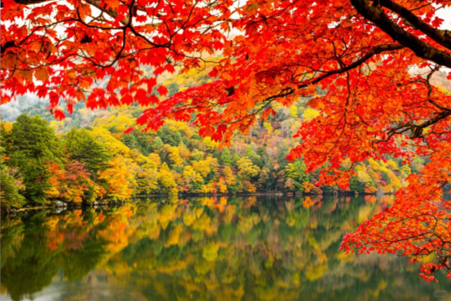 202511071344-5305208488.png image.png