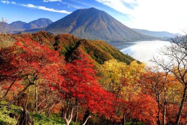 202511071344-7304878568.png image.png