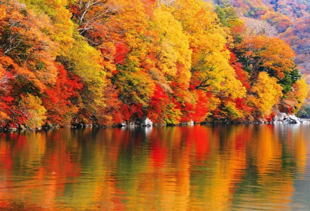 202511071344-9770364456.png image.png