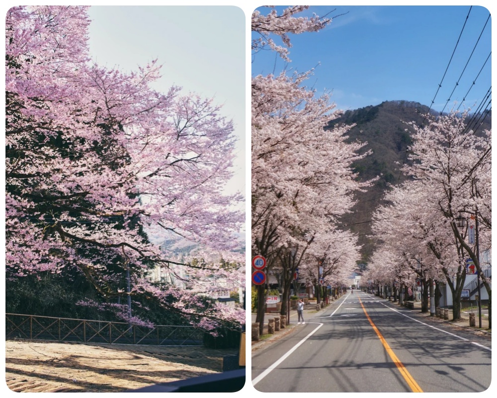 202511071421-4430099316.jpg 日光3.jpg