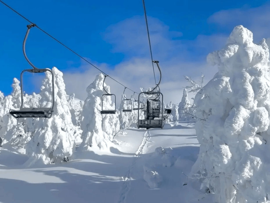 202511071511-7103489689.png 企业微信截图_1762499417638.png