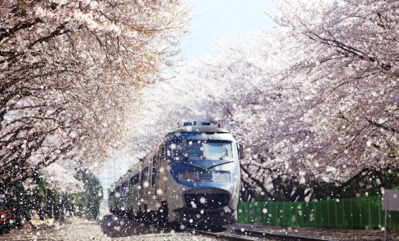 202511071643-8720556391.png image.png