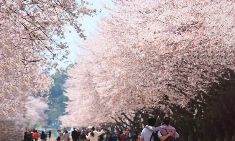 202511071643-9305830660.png image.png