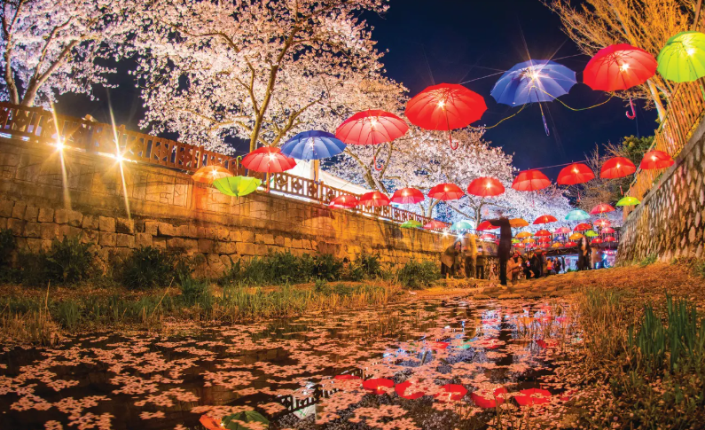 202511071645-5692424481.png image.png