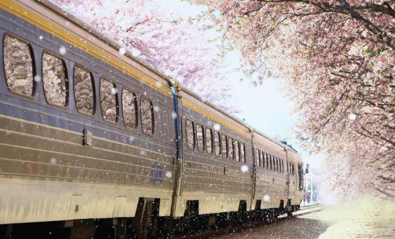 202511071648-6637199476.png image.png