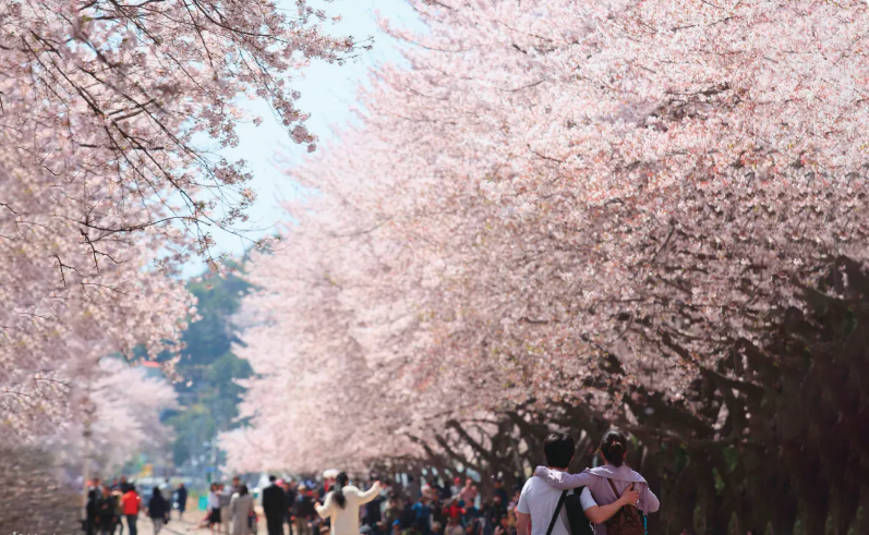 202511071649-9446525353.png image.png