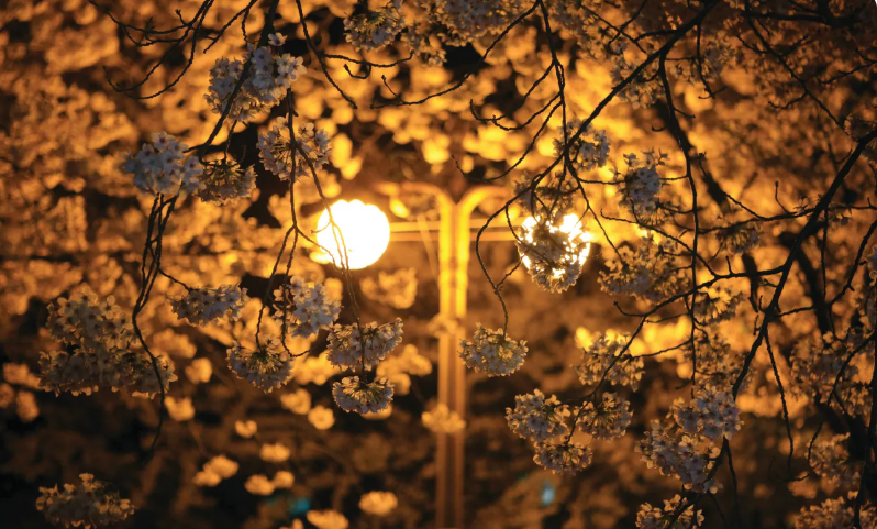 202511071652-1409692382.png image.png