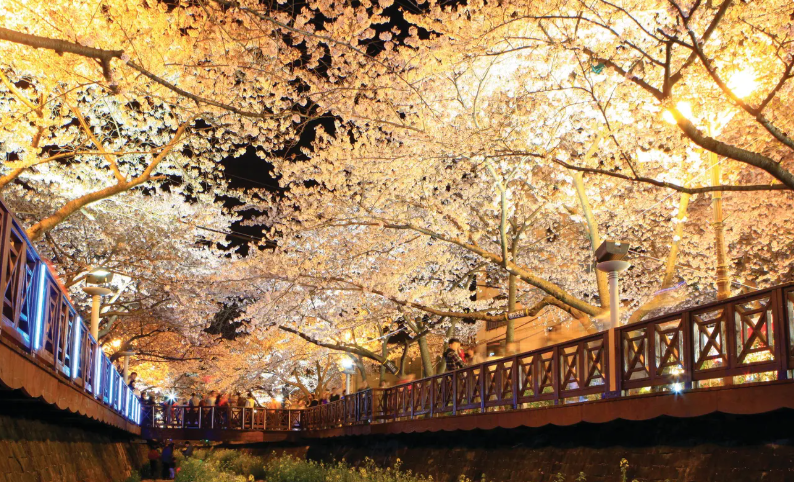 202511071652-6008551257.png image.png