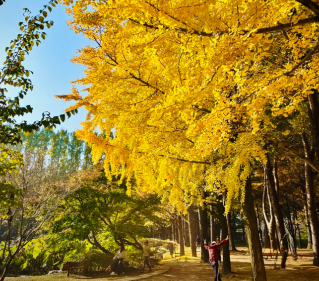 202511100937-2151828903.png image.png