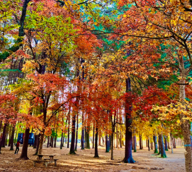 202511100937-4762726941.png image.png